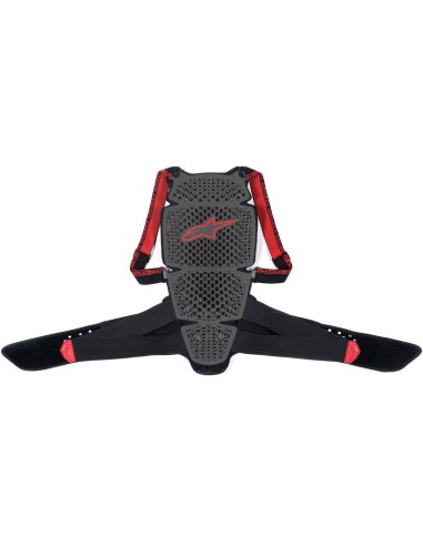 DORSALE ALPINESTARS NUCLEON KR CELL Pour